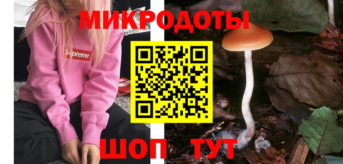 Галлюциногенные грибы мицелий Карталы