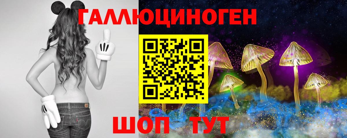 Карталы  Галлюциногенные грибы Psilocybine cubensis  Вход с VPN 